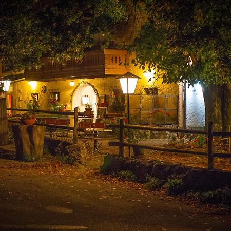 Gasthof Mitteregg Zum Kasnocknwirt Winkl  エクステリア 写真
